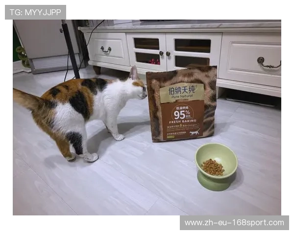 游戏中如何将猫粮拖动到猫碗里轻松喂养猫咪的详细操作步骤解析